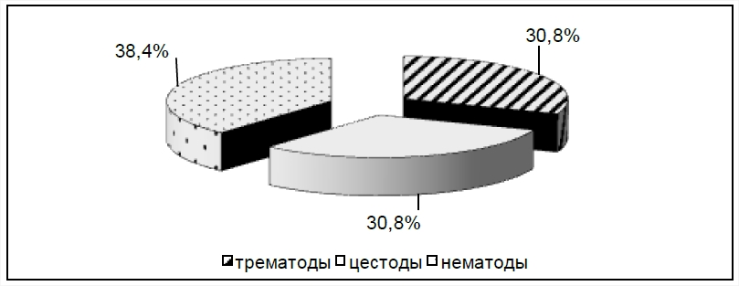 Соотношение числа видов основных систематических групп гельминтов, зарегистрированных у кошек в Воронежской области